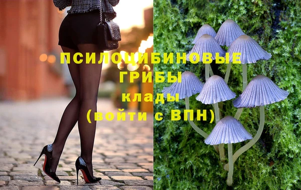 гидра Нязепетровск