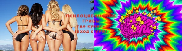 гидра Нязепетровск
