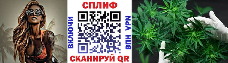 Бошки Шишки конопля Ялта